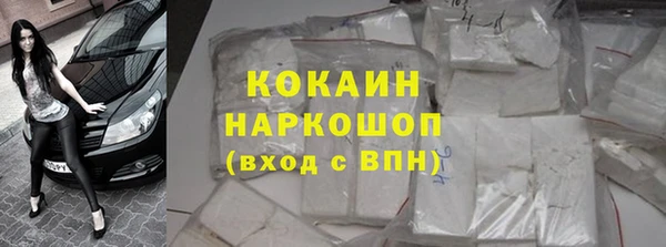 PSILOCYBIN Няндома