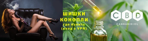 PSILOCYBIN Няндома