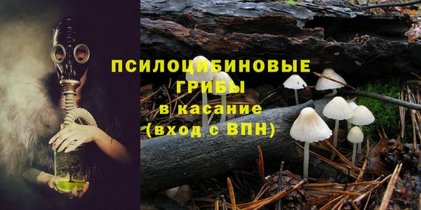 PSILOCYBIN Няндома