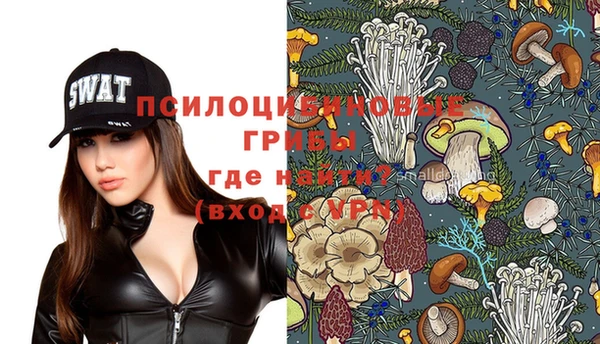 PSILOCYBIN Няндома