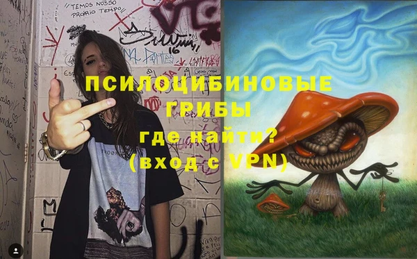 PSILOCYBIN Няндома