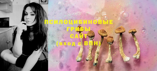 PSILOCYBIN Няндома